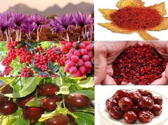 خرید و فروش و حمل محصولات ایرانی، مانند زعفران و زرشک و خرما و گل‌ها و غیره. — 2