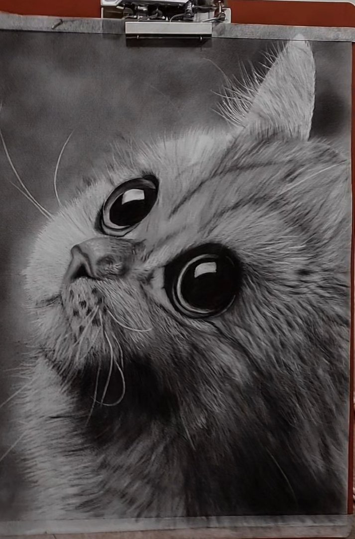 Custom Portrait Drawing — 3