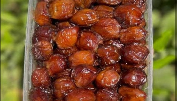 Khadra Khasouei Export Dates
