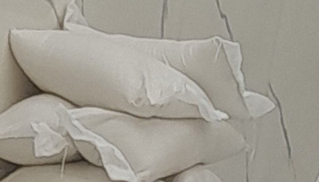 أرز هاشمي درجة ممتازة شمال إيران