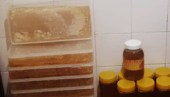 بيع العسل الطبيعي