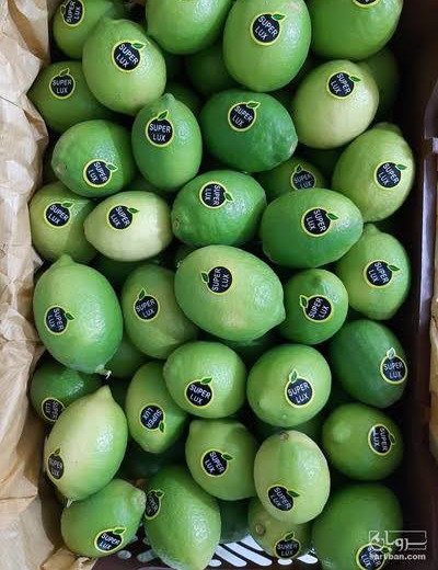 Khouzestan Lemon — 2