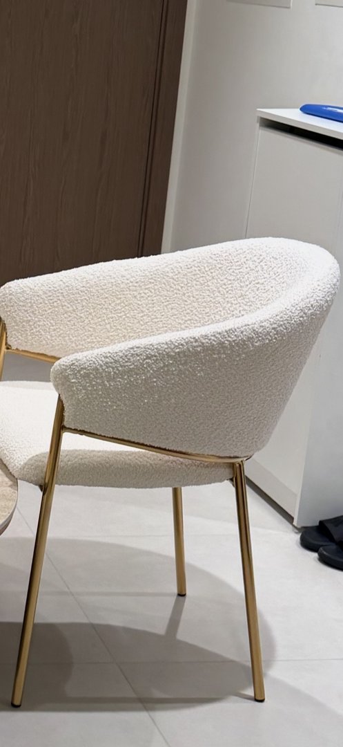 Dining Chair