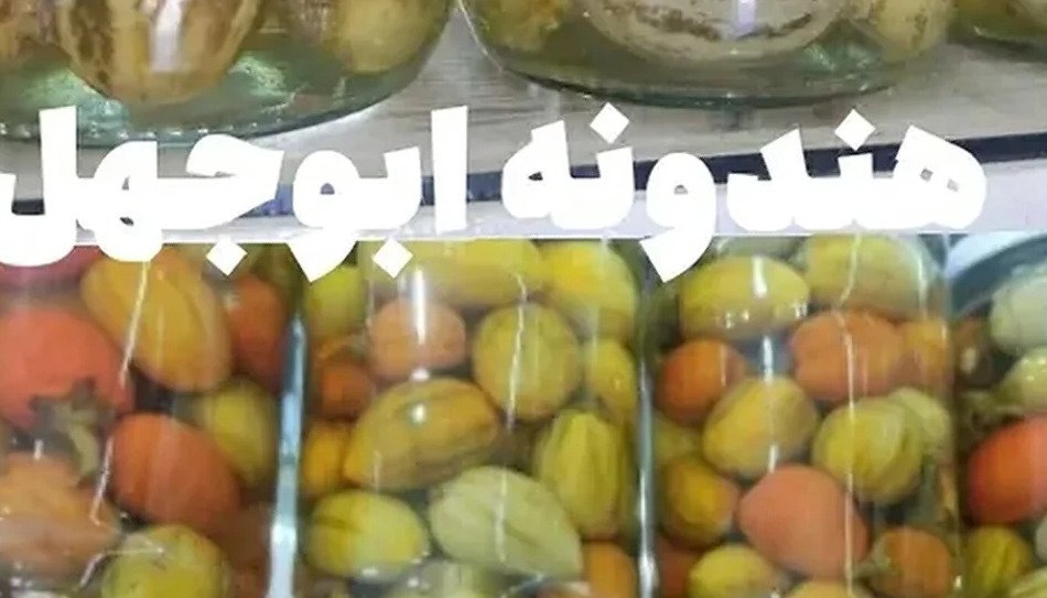 Premium Quality Olive Oil — 2