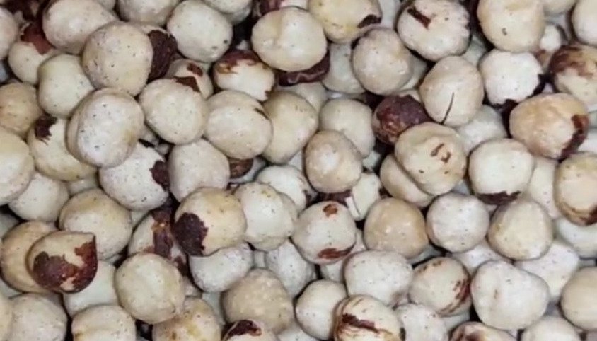 Premium Hazelnut from Lahijan — 2