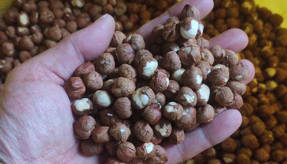 Premium Hazelnut from Lahijan — 4