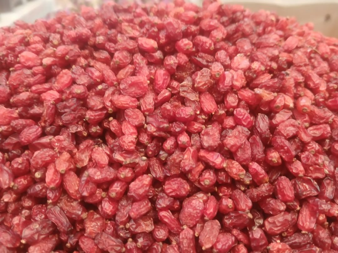 Dried Iranian Barberry — 2