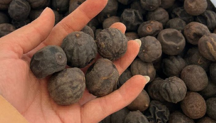 Premium Iranian Omani Lemon | Export Quality | Wholesale Sale — 3