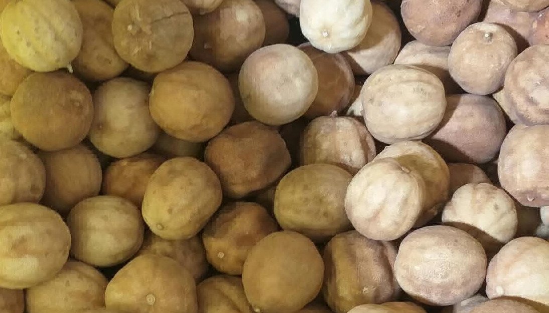 Premium Iranian Omani Lemon | Export Quality | Wholesale Sale