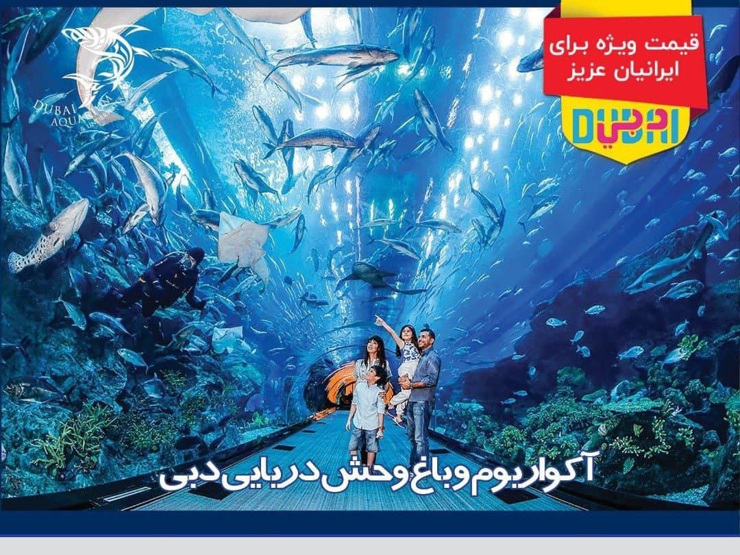 آکواریوم و دنیای وحش زیر آب دبی مال