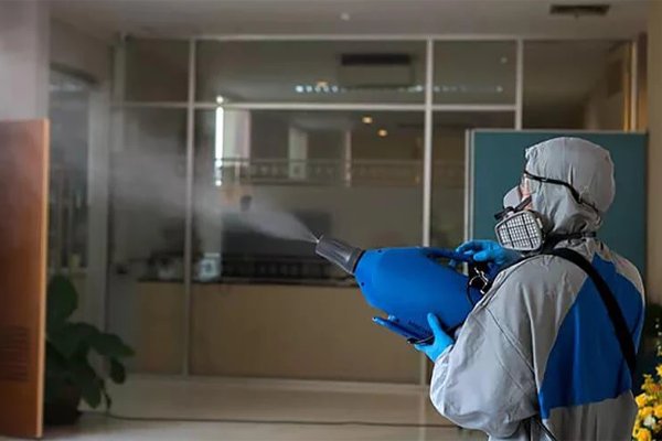 🐜 Clear Zone | خدمات سم‌پاشی در دبی و شارجه - 3