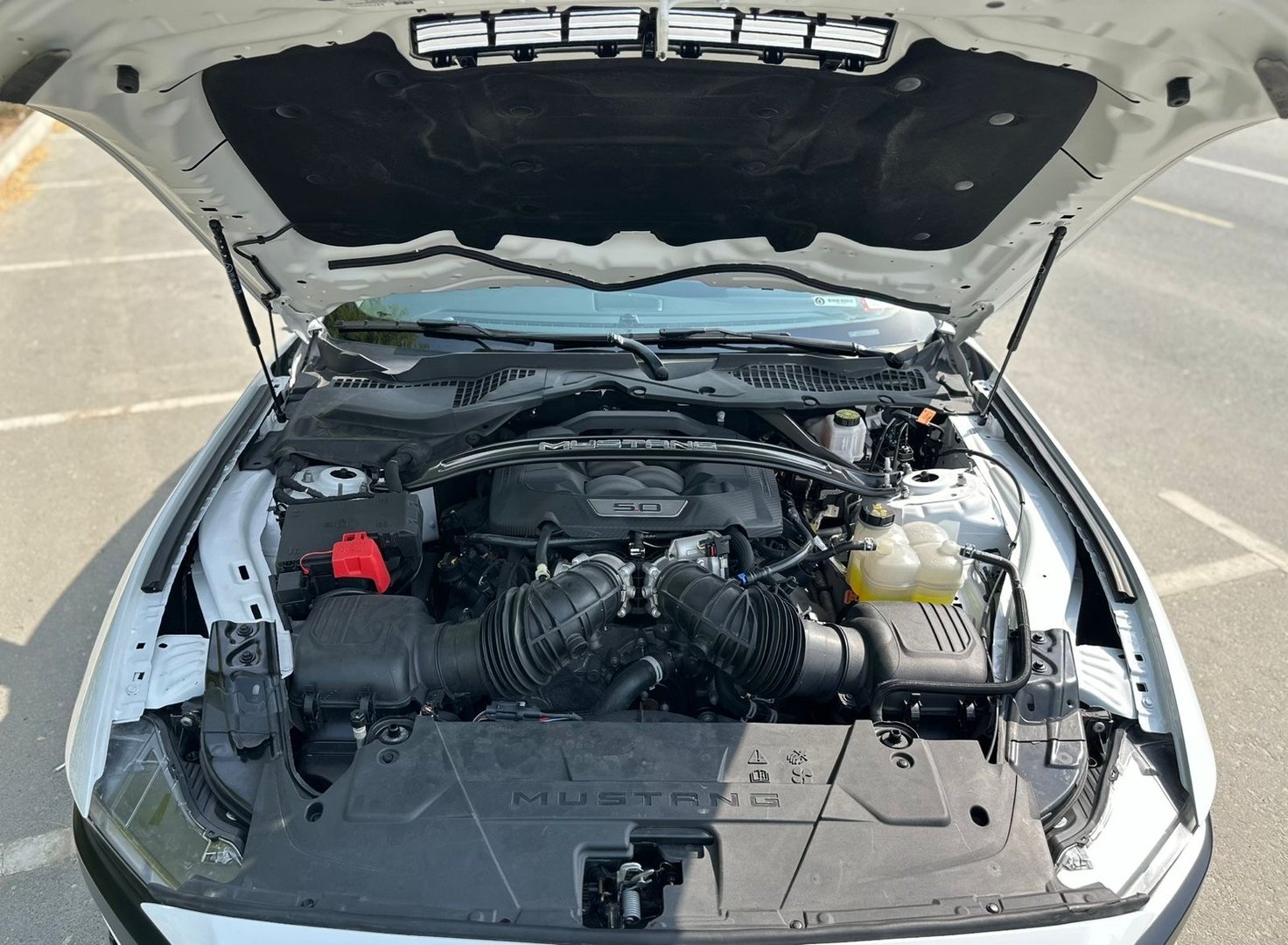 Ford Mustang 2024 V8 Manual grear — 5