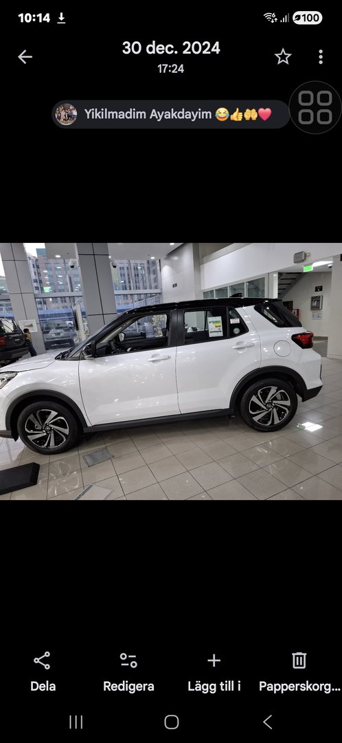 Toyota Raiz