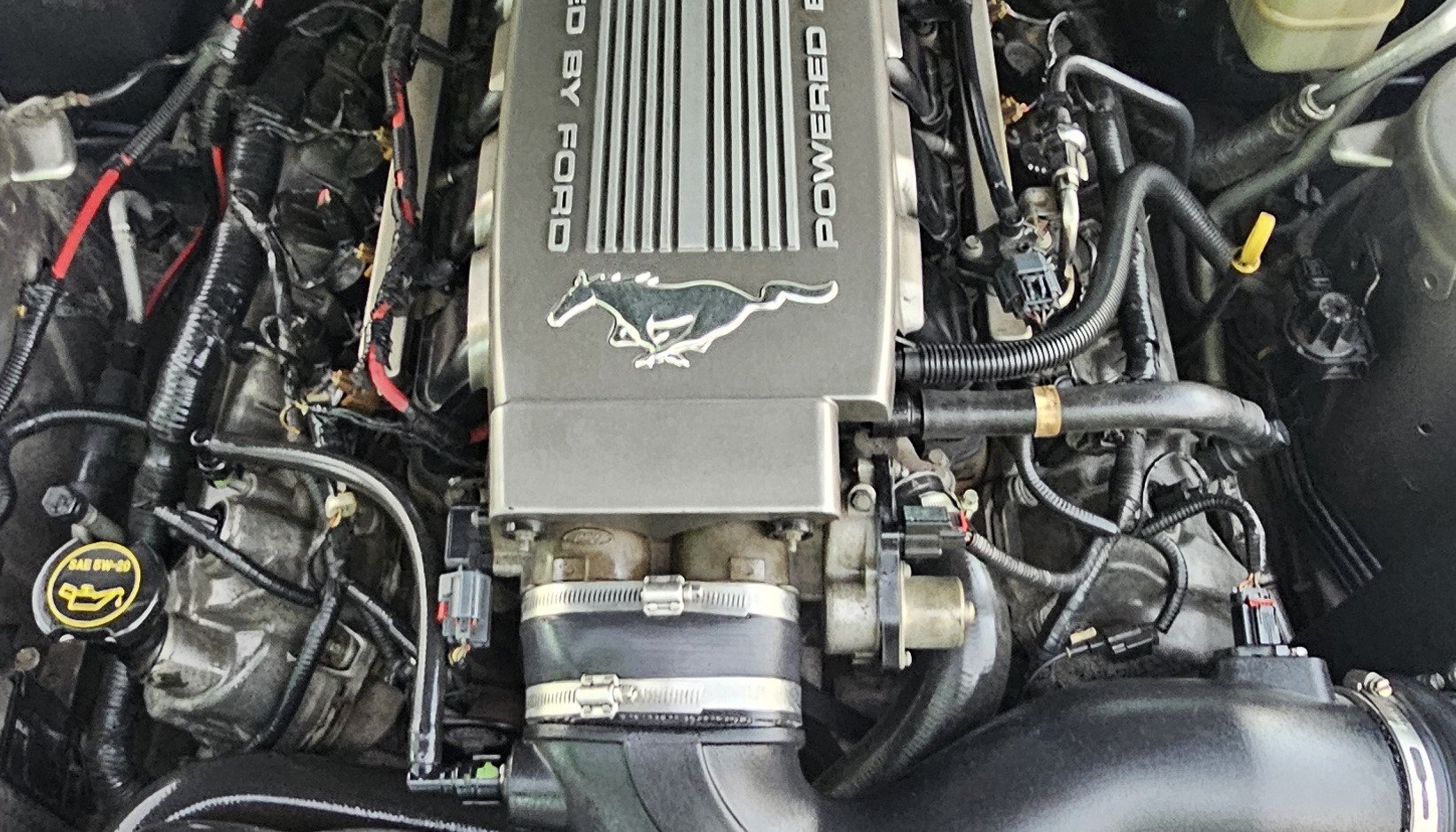 فورد موستانگ راش 2008 V8 اتوماتیک — 5