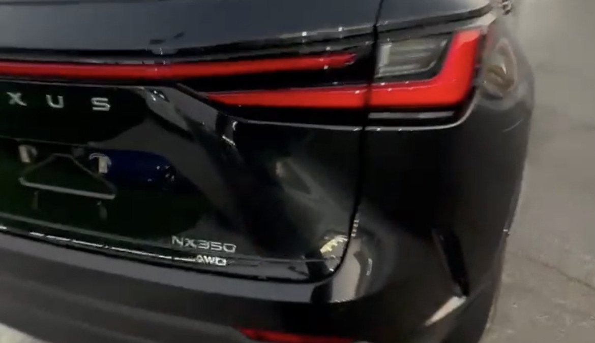Lexus NX350 Hybrid & Patrol — 5