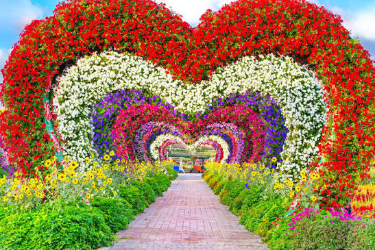 Last Chance to Visit; Dubai Miracle Garden Open Only This Month