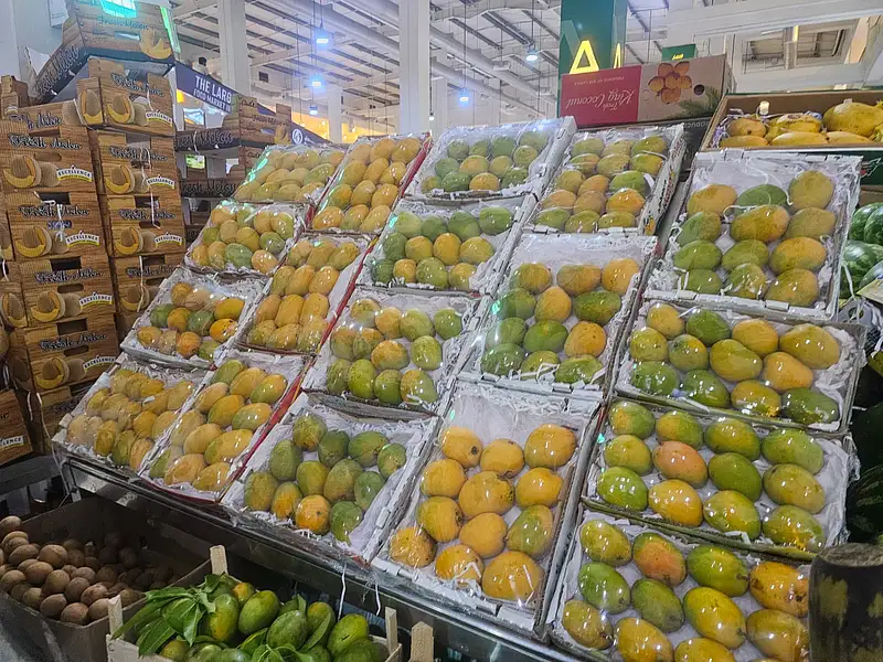 فصل انبه در امارات آغاز شده؟