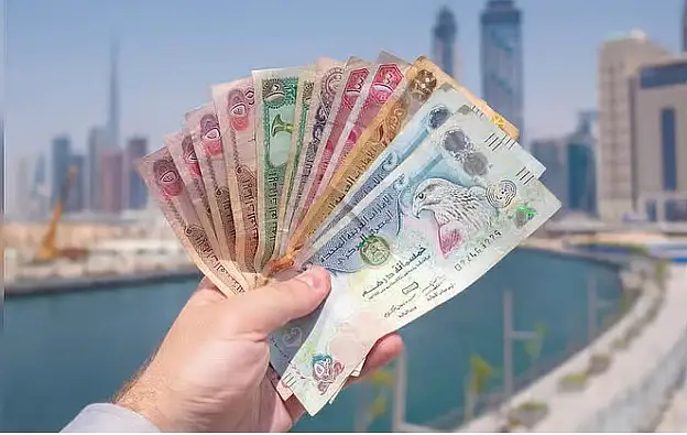Dubai Police Returned 3000 Dirhams of a Tourist's Lost Money After Her Return to Her Country
