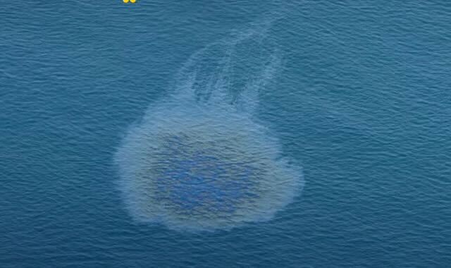 Closure of Umm Al-Quwain Beaches Following Oil Leak Detection